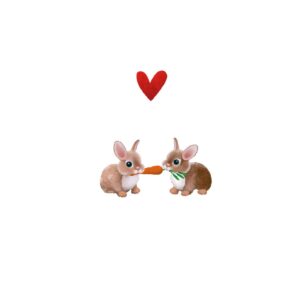 Yon Kaart Konijntjes & Hartje