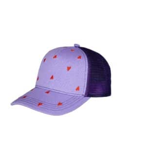 Barts Barts Pet Blyz Cap Lilac 53-55 8721121010366 Barts Kleding & Accessoires Accessoires Hoedjes & Petjes Wijs west