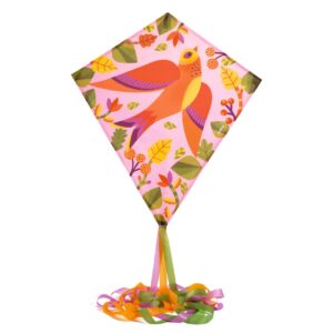 Djeco Djeco Vlieger Vogeltje 3070900021402 DjecoVal26 Speelgoed & Spellen Buitenspelen  Wijs west