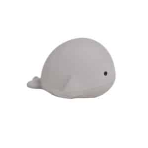 My First Ocean Walvis Knijpdiertje