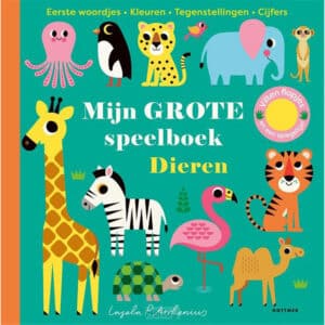 Mijn grote speelboek