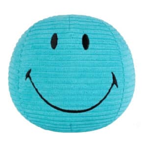 Smiley ECO Corduroy Teal