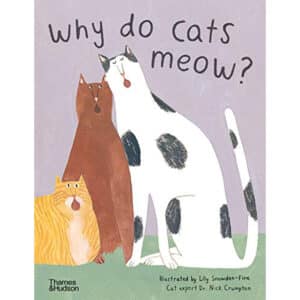 Why do cats meow