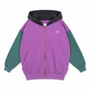 Repose AMS Repose 17. Zip Hoodie Color Block 8721562004986  Kleding & Accessoires Sweaters & Truien