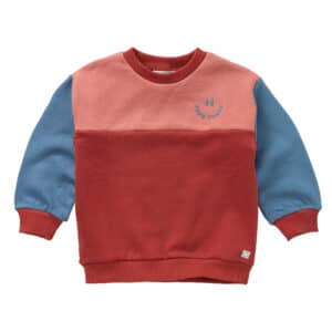 Sproet & Sprout Sweatshirt Colourblock Palette – sweaters & truien voor kinderen