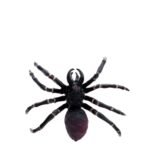 Rex London Speelfiguur Tarantula