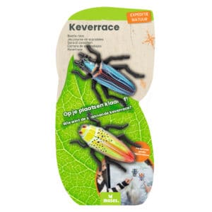 Blisterverpakking met twee racekevers in metallic blauw en groen-geel